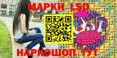 индика Нальчик