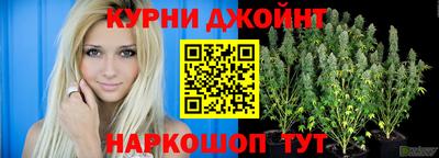индика Нальчик