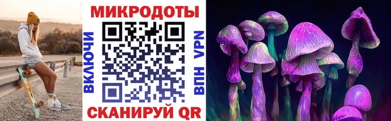 Галлюциногенные грибы прущие грибы  Тайшет 