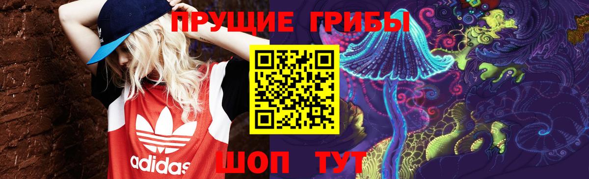 Псилоцибиновые грибы Psilocybe  Псилоцибиновые грибы мухоморы  Вход с VPN  Тайшет 